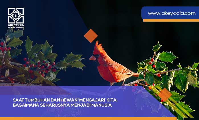 Saat Tumbuhan dan Hewan Mengajari Kita: Bagaimana Seharusnya Menjadi Manusia