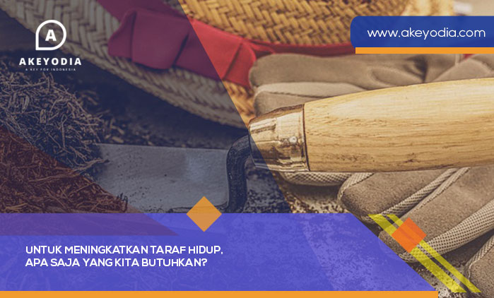 Untuk Meningkatkan Taraf Hidup Apa Saja yang Kita Butuhkan