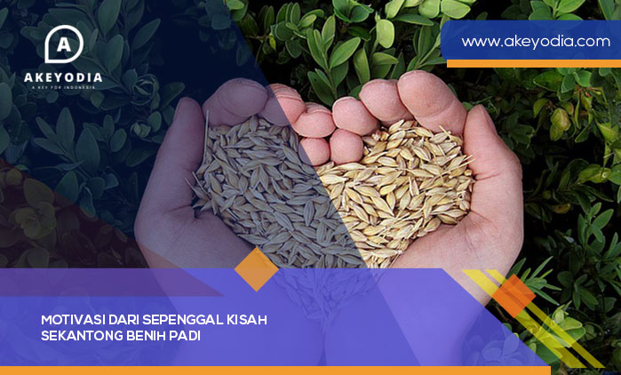 Motivasi dari Sepenggal Kisah Sekantong Benih Padi