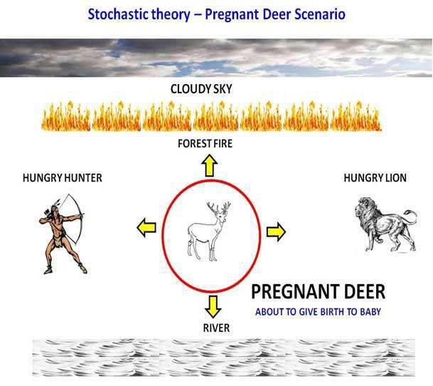 Stochastic Probability Theory Pregnant Deer Scenario