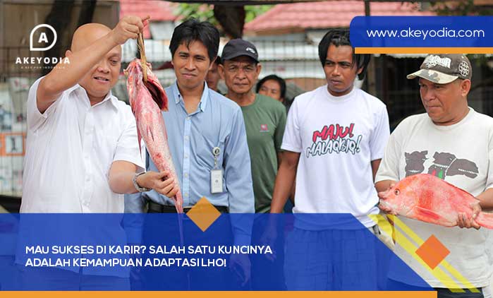 Sukses Di Karir Kuncinya Kemampuan Adaptasi