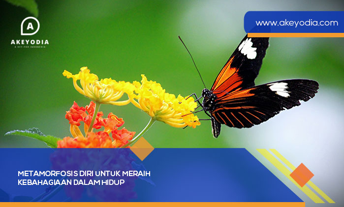 Metamorfosis Diri untuk Meraih Kebahagiaan dalam Hidup