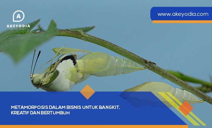 Metamorfosis dalam Bisnis untuk Bangkit, Kreatif dan Bertumbuh