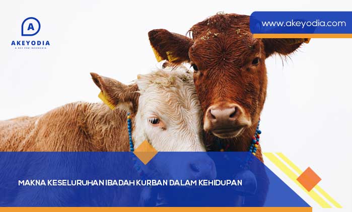 Makna Keseluruhan Ibadah Kurban dalam Kehidupan