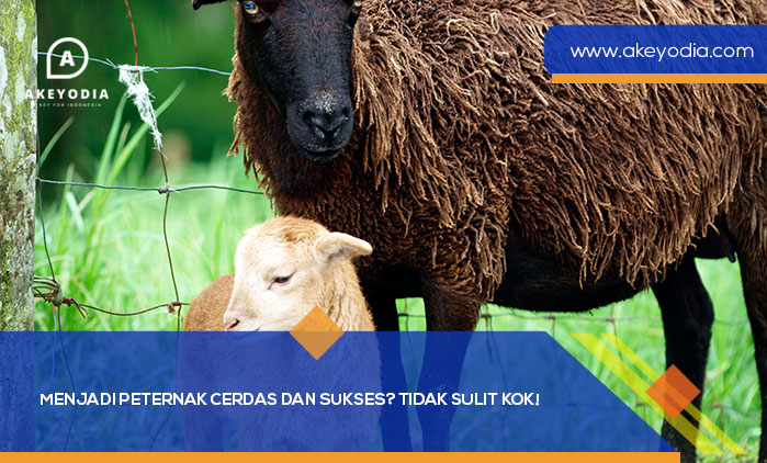 Peternak Cerdas dan Sukses