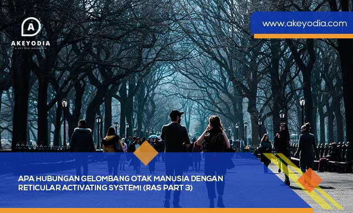 Apa Hubungan Gelombang Otak Manusia dengan Reticular Activating System
