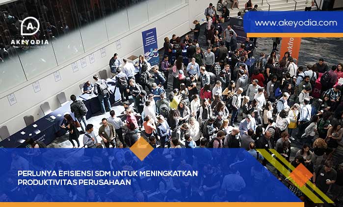 Perlunya Efisiensi SDM untuk Meningkatkan Produktivitas Perusahaan