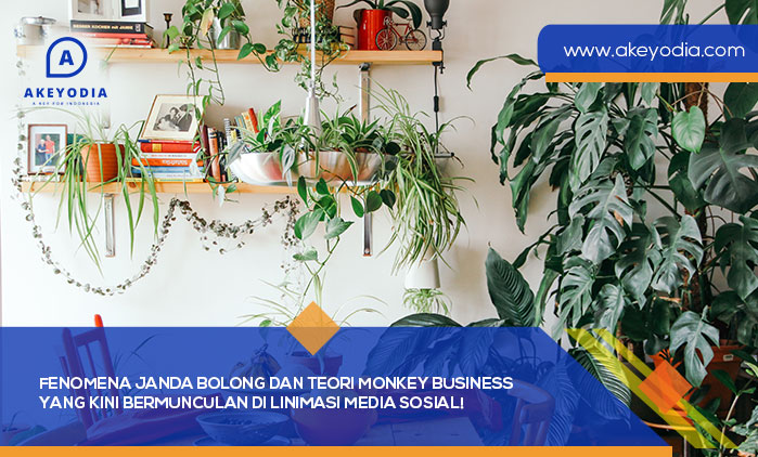 fenomena janda bolong