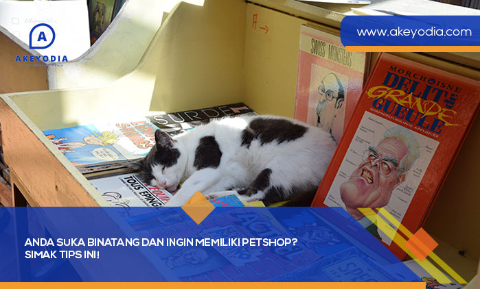Anda Suka Binatang dan Ingin Memiliki Petshop