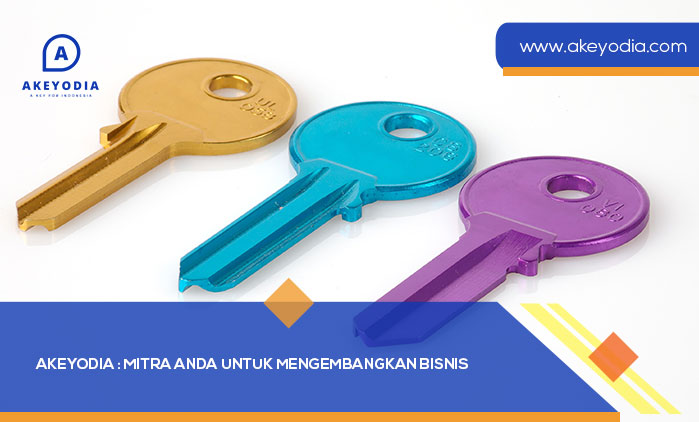 Akeyodia Mitra Anda untuk Mengembangkan Bisnis