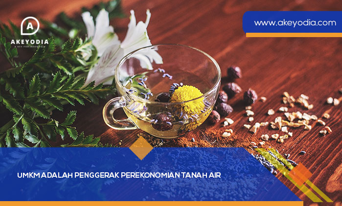 UMKM adalah Penggerak Perekonomian Tanah Air