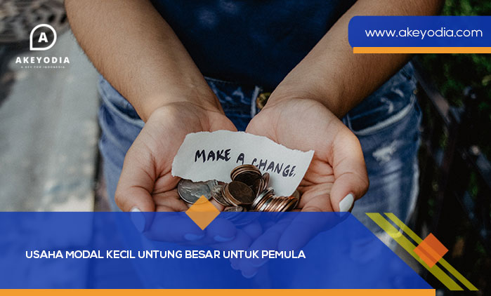 Usaha Modal Kecil Untung Besar untuk Pemula