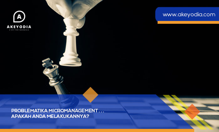 Problematika Micromanagement