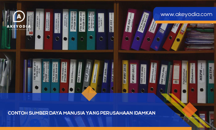Contoh Sumber Daya Manusia yang Perusahaan Idamkan