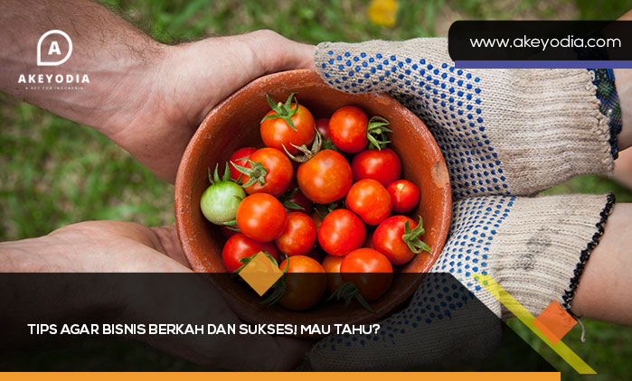 Tips Agar Bisnis Berkah dan Sukses
