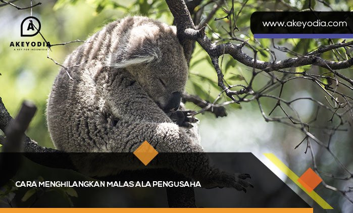 Cara Menghilangkan Malas Ala Pengusaha