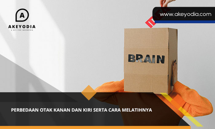 Perbedaan Otak Kanan dan Kiri serta Cara Melatihnya
