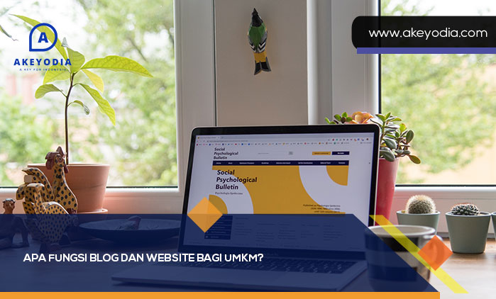 Apa Fungsi Blog dan Website bagi UMKM