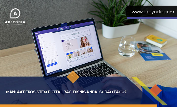 Manfaat Ekosistem Digital