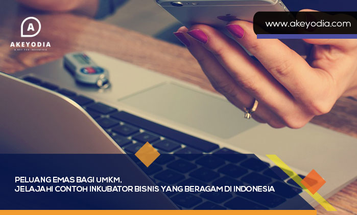 Contoh Inkubator Bisnis