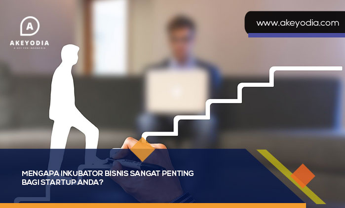 Mengapa Inkubator Bisnis Sangat Penting