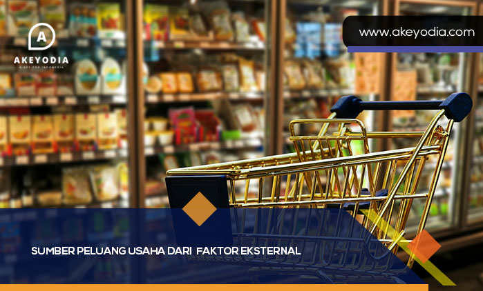 Sumber Peluang Usaha dari Faktor Eksternal