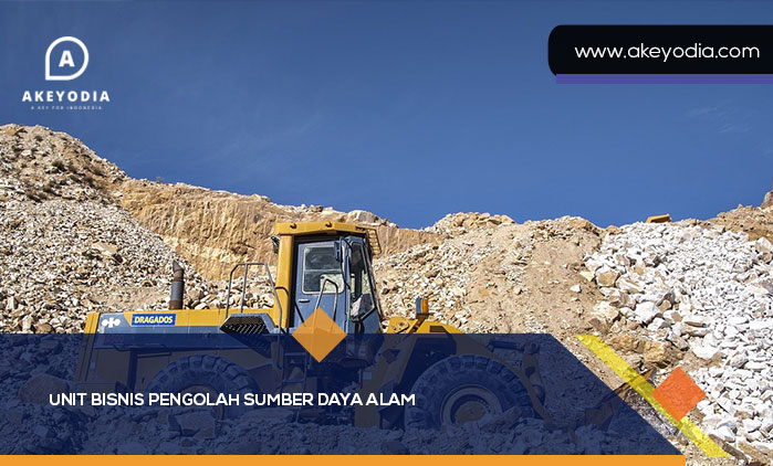 Unit Bisnis Pengolah Sumber Daya Alam