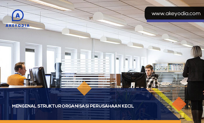 Struktur Organisasi Perusahaan Kecil